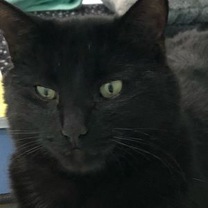 Meet your Posher, Mekenzie